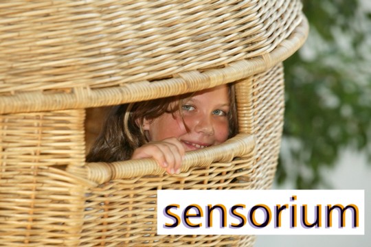 Sensorium-BernOst.jpg