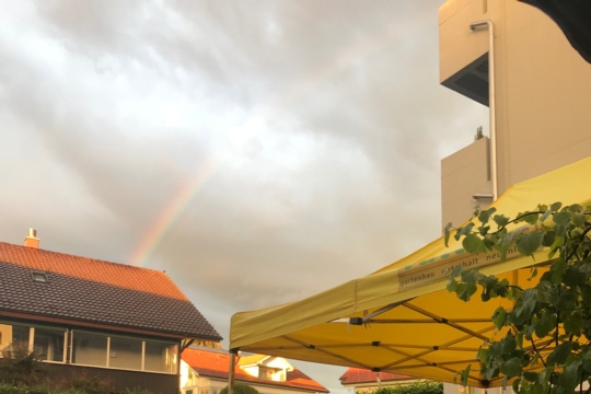 Vatter Garten AG Münsingen Neuer Showgarten an der Schulhausgasse