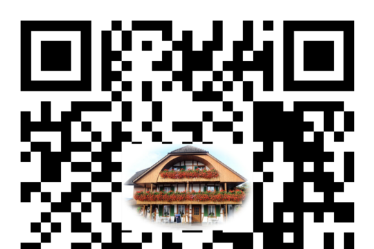 QR_Code_mirchel-pintli.ch.png