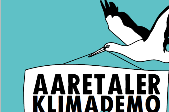 Aaretaler-Klimademo.png